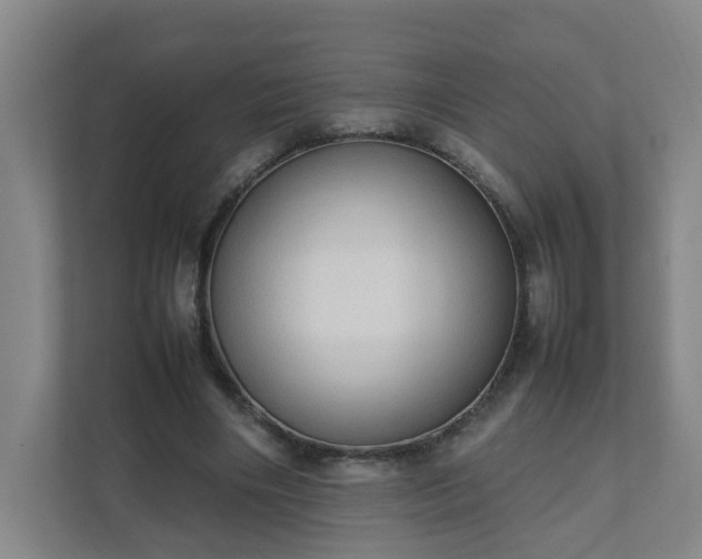 X0000111950490200908031201
