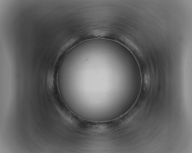 X0000111950492200908031201
