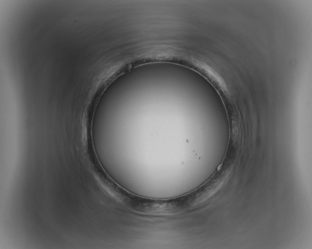 X0000111950493200908031201