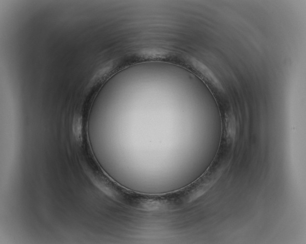 X0000111950494200908031201