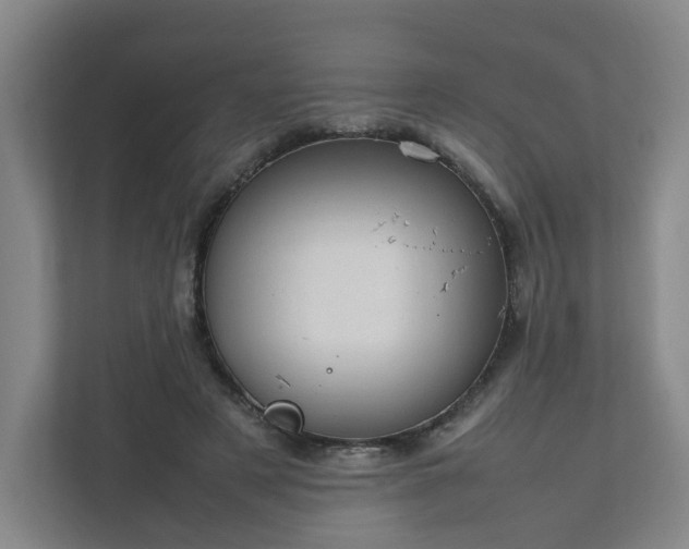 X0000111950497200908031201