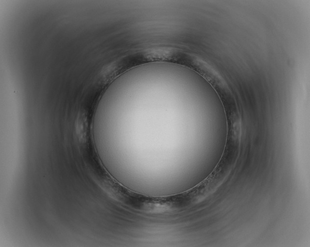 X0000111950498200908031201