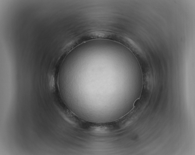 X0000111950500200908031201