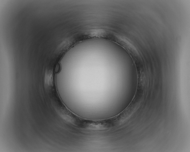 X0000111950502200908031201