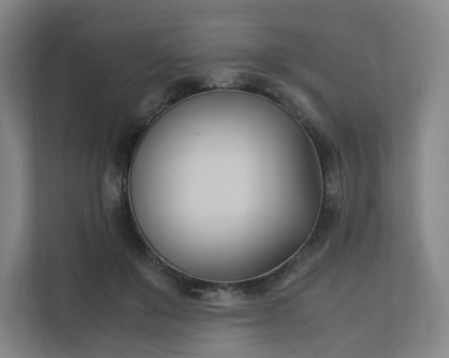 X0000111950503200908031201