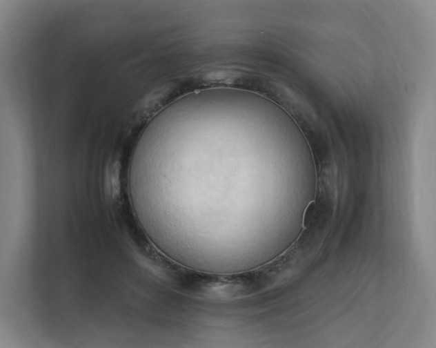 X0000111950504200908031201