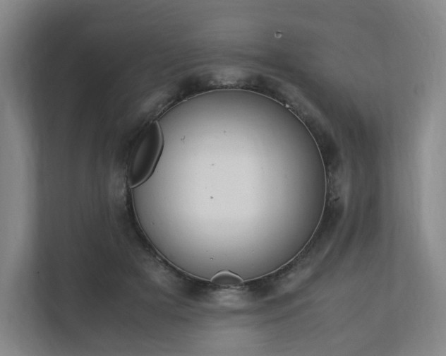 X0000111950505200908031201