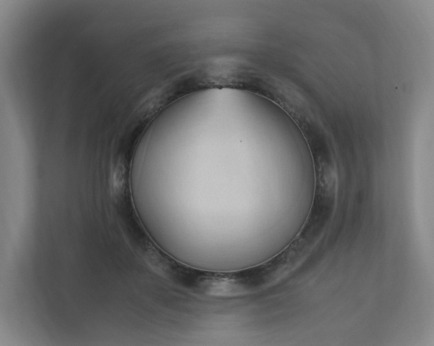 X0000111950507200908031201
