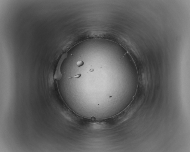 X0000111950508200908031201