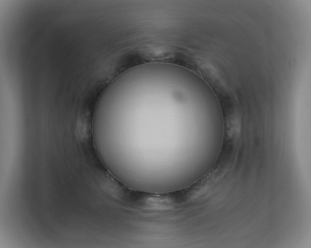 X0000111950515200908031201