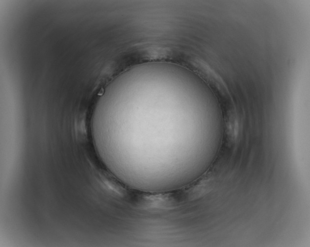 X0000111950516200908031201