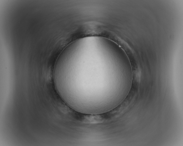 X0000111950517200908031201
