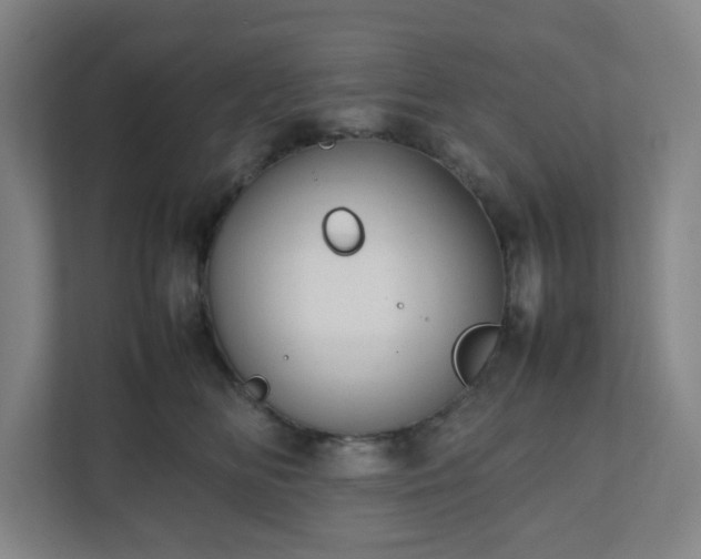 X0000111950518200908031201