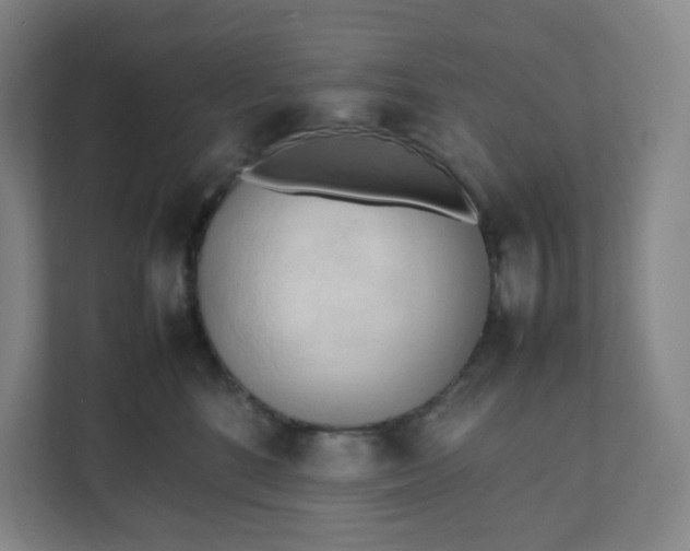 X0000111950520200908031201
