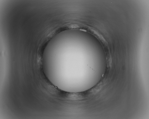 X0000111950521200908031201
