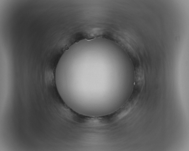 X0000111950523200908031201