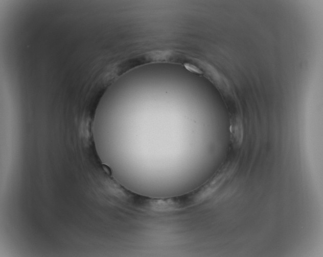 X0000111950525200908031201