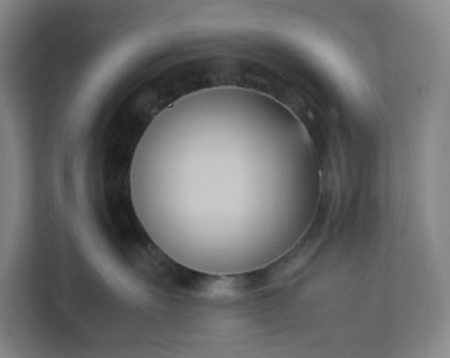 X0000111950527200908031200