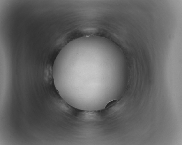 X0000111950528200908031200