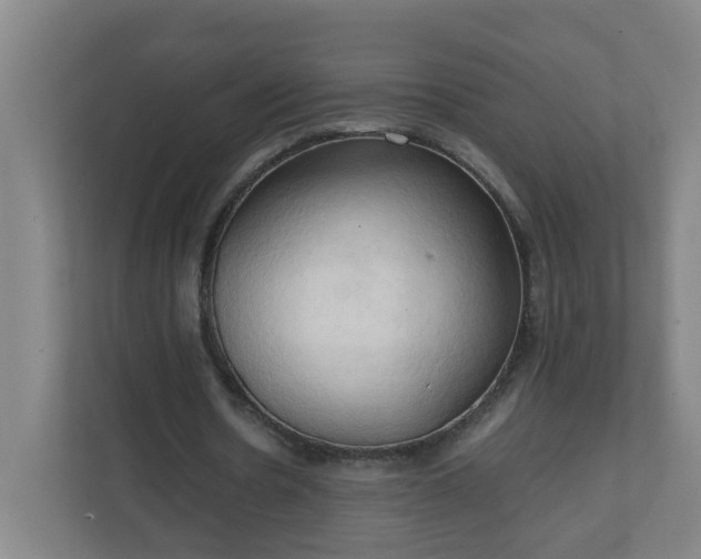 X0000111950530200908031200