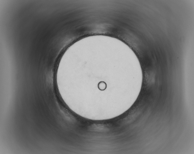 X0000111950534200908031200