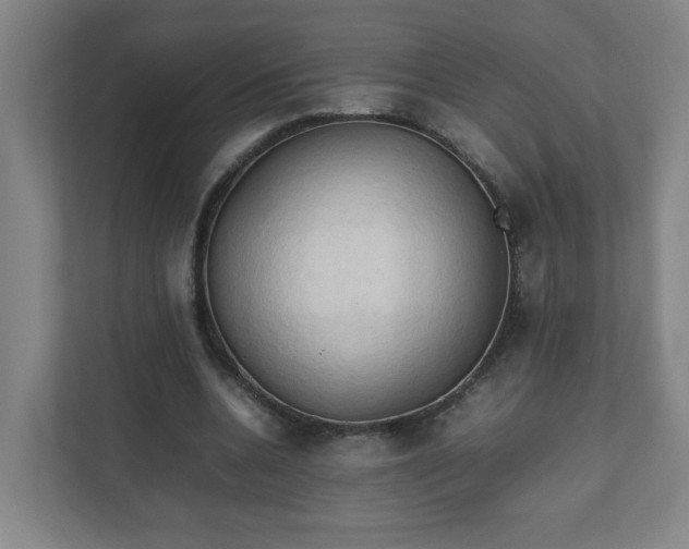 X0000111950536200908031200