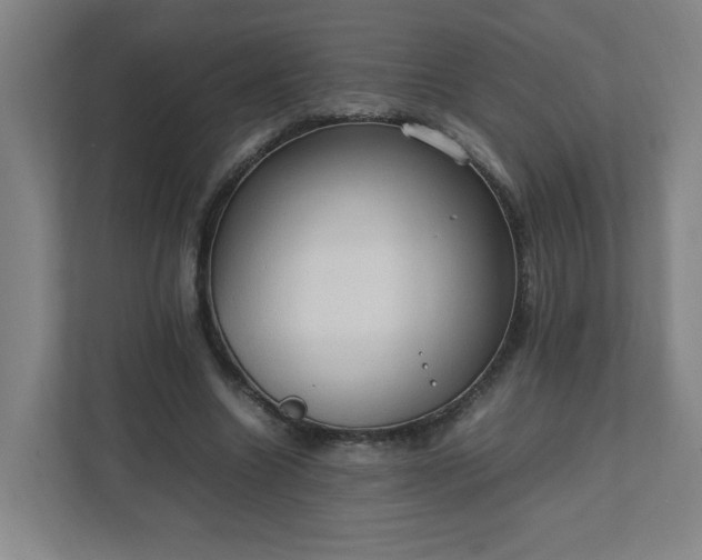 X0000111950538200908031200