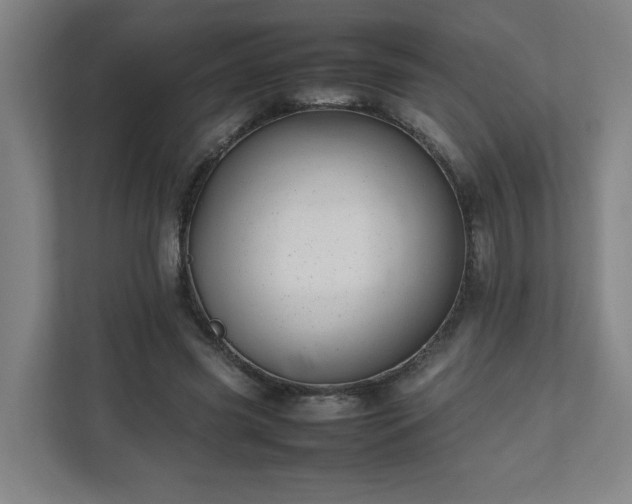 X0000111950541200908031200