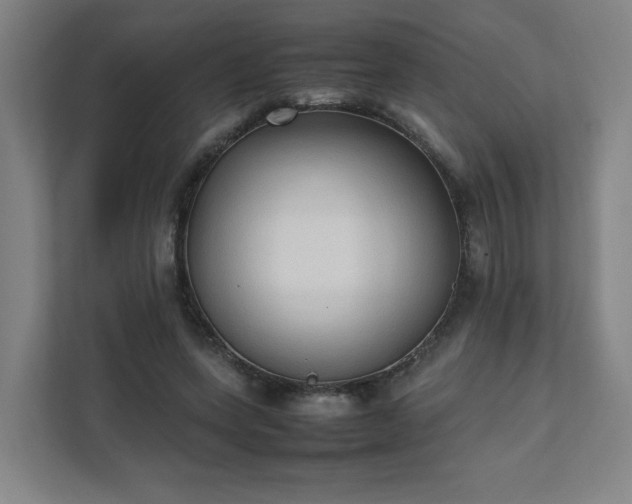 X0000111950543200908031200