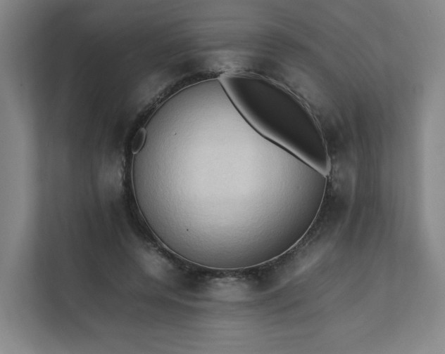 X0000111950544200908031200