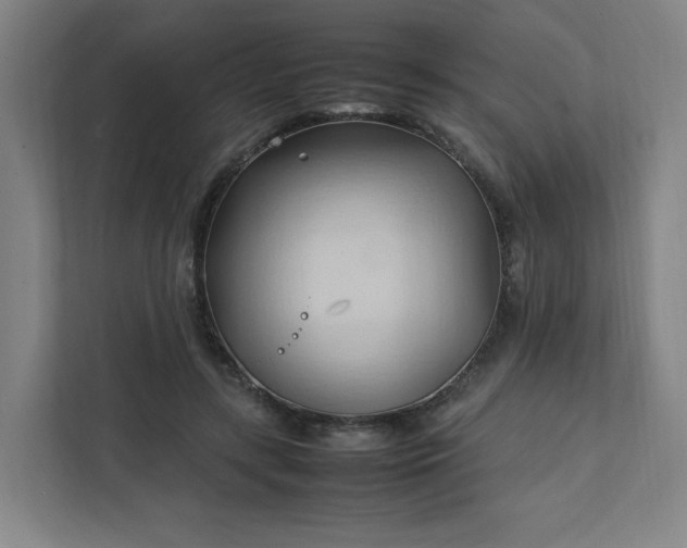 X0000111950547200908031200