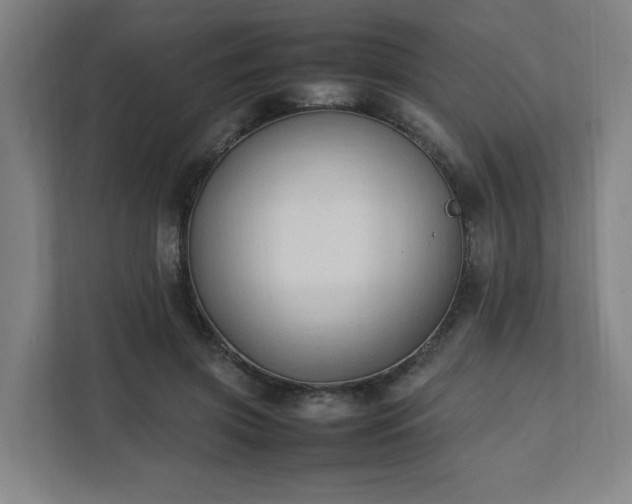 X0000111950549200908031200