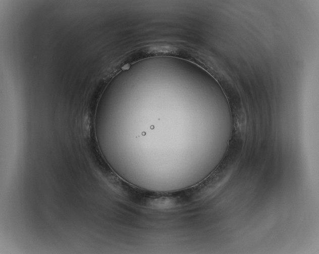 X0000111950551200908031200