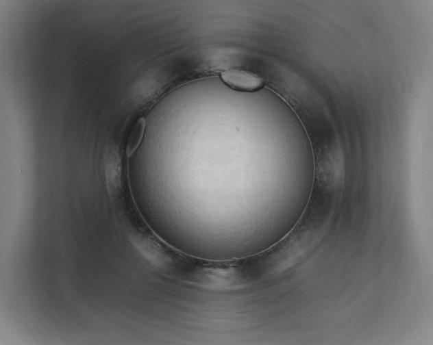 X0000111950552200908031200