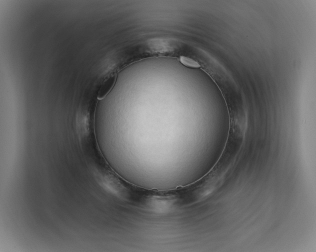X0000111950556200908031200