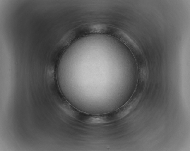X0000111950557200908031200