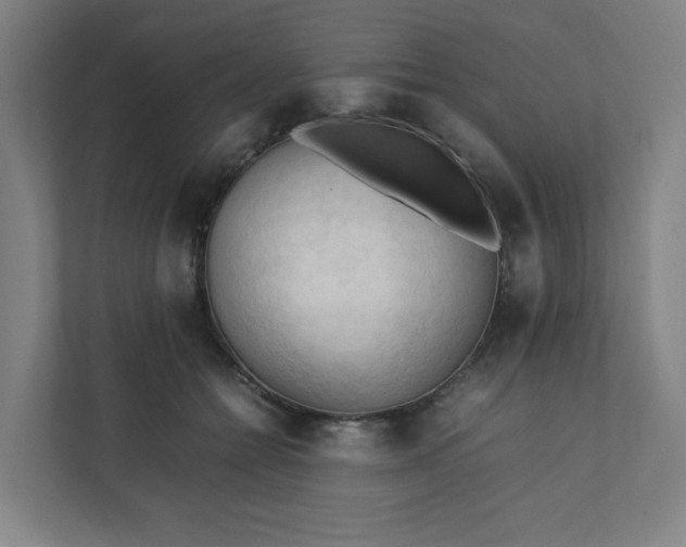 X0000111950558200908031200