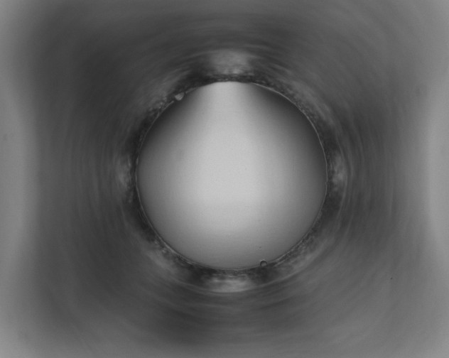 X0000111950559200908031200