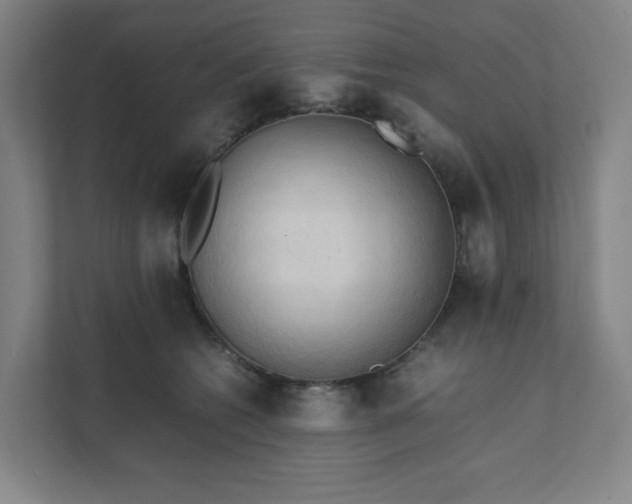 X0000111950562200908031200