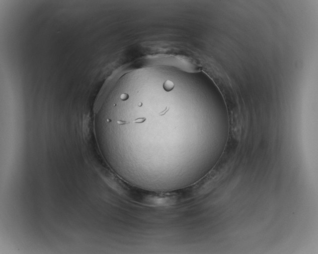 X0000111950563200908031200