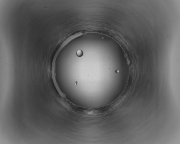 X0000111950564200908031200