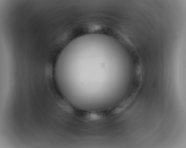 X0000111950565200908031200