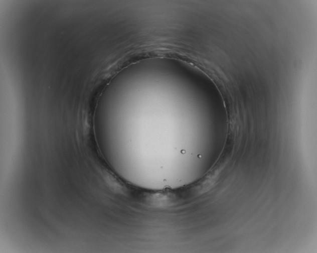 X0000111950566200908031200