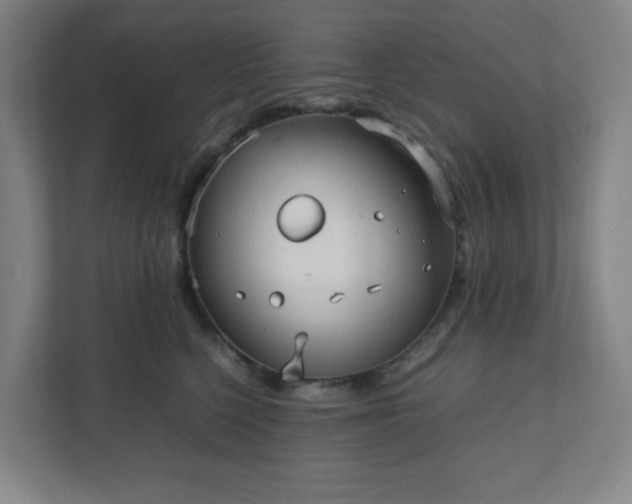 X0000111950568200908031200