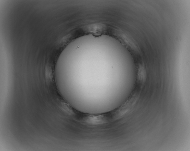 X0000111950569200908031200