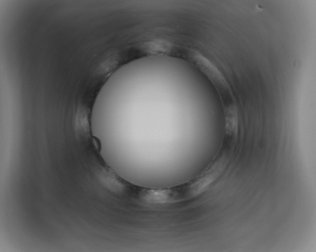 X0000111950573200908031200