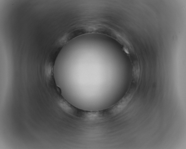 X0000111950574200908031200