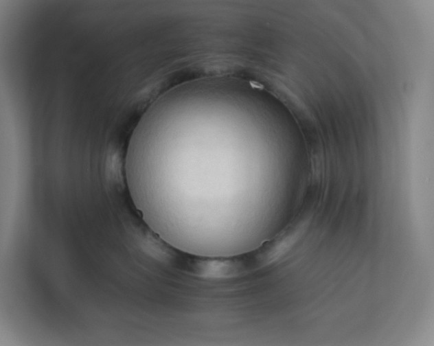 X0000111950575200908031200