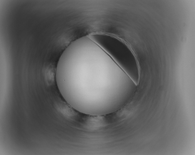 X0000111950576200908031200