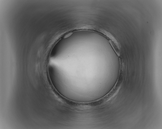 X0000111950577200908031200